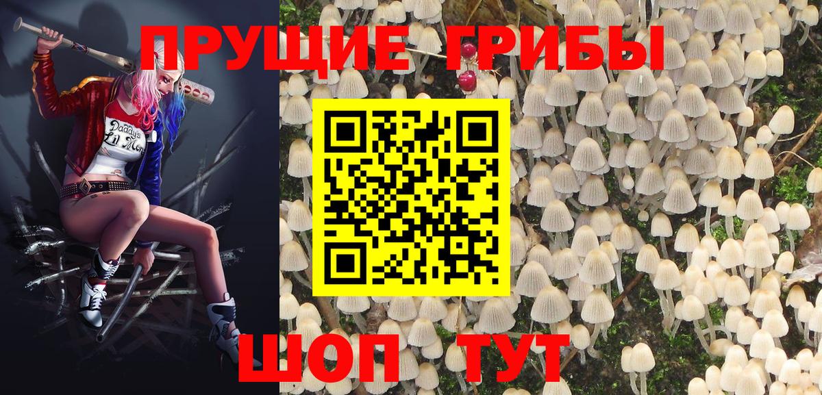 Псилоцибиновые грибы мицелий Ртищево
