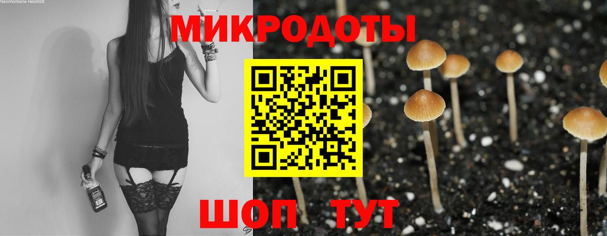 Ртищево  Галлюциногенные грибы GOLDEN TEACHER  Вход с VPN 